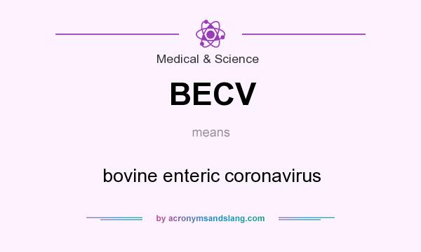 What does BECV mean? It stands for bovine enteric coronavirus