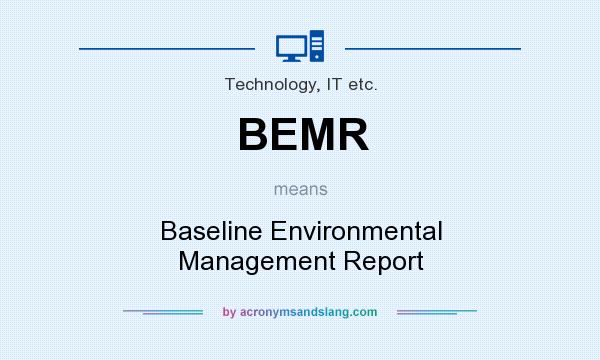 What does BEMR mean? It stands for Baseline Environmental Management Report