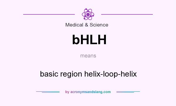 What does bHLH mean? It stands for basic region helix-loop-helix