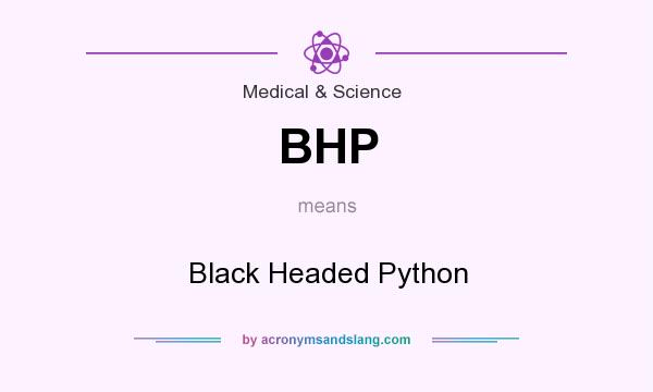 What does BHP mean? It stands for Black Headed Python