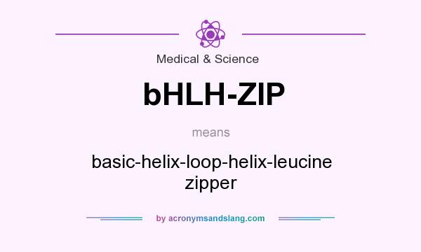 What does bHLH-ZIP mean? It stands for basic-helix-loop-helix-leucine zipper