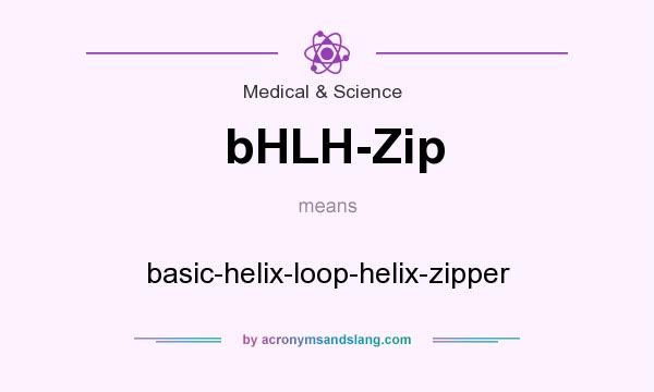 What does bHLH-Zip mean? It stands for basic-helix-loop-helix-zipper