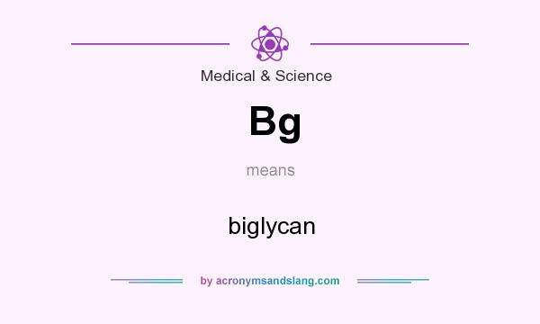 What does Bg mean? It stands for biglycan
