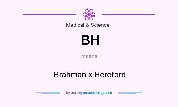 What does BH mean? It stands for Brahman x Hereford