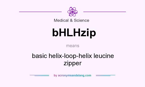 What does bHLHzip mean? It stands for basic helix-loop-helix leucine zipper