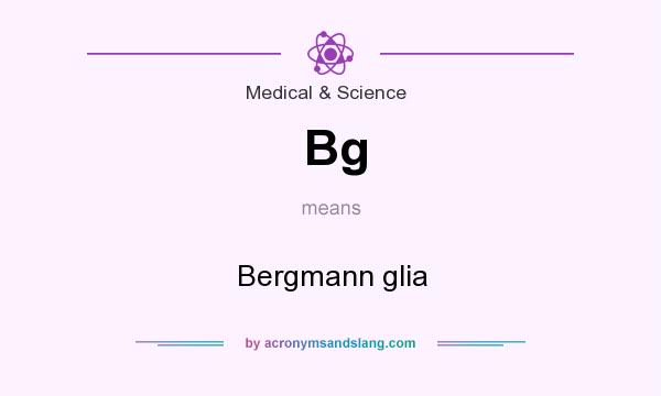 What does Bg mean? It stands for Bergmann glia