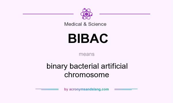 What does BIBAC mean? It stands for binary bacterial artificial chromosome