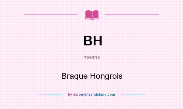 What does BH mean? It stands for Braque Hongrois