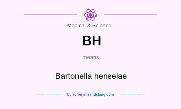 What does BH mean? It stands for Bartonella henselae