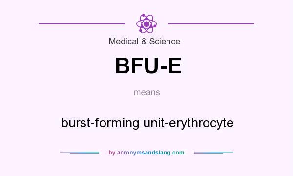 What does BFU-E mean? It stands for burst-forming unit-erythrocyte