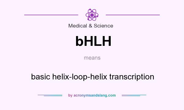 What does bHLH mean? It stands for basic helix-loop-helix transcription
