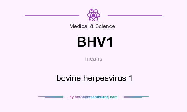 What does BHV1 mean? It stands for bovine herpesvirus 1