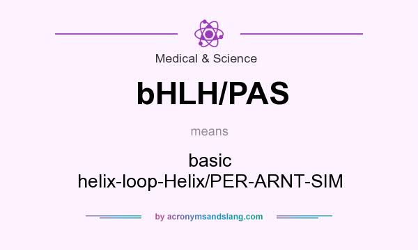 What does bHLH/PAS mean? It stands for basic helix-loop-Helix/PER-ARNT-SIM
