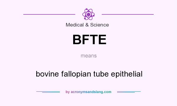 What does BFTE mean? It stands for bovine fallopian tube epithelial