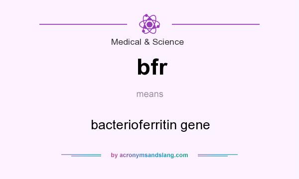 What does bfr mean? It stands for bacterioferritin gene