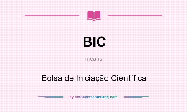 What does BIC mean? It stands for Bolsa de Iniciação Científica