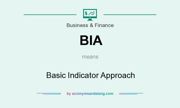 What does BIA mean? It stands for Basic Indicator Approach