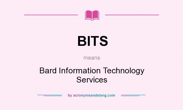 What does BITS mean? It stands for Bard Information Technology Services