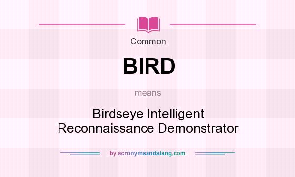 What does BIRD mean? It stands for Birdseye Intelligent Reconnaissance Demonstrator