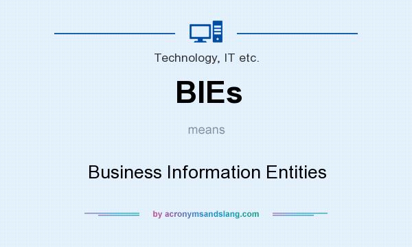 What does BIEs mean? It stands for Business Information Entities