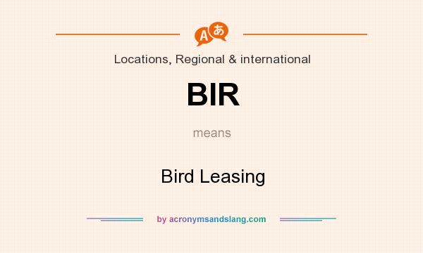 What does BIR mean? It stands for Bird Leasing
