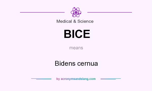 What does BICE mean? It stands for Bidens cernua