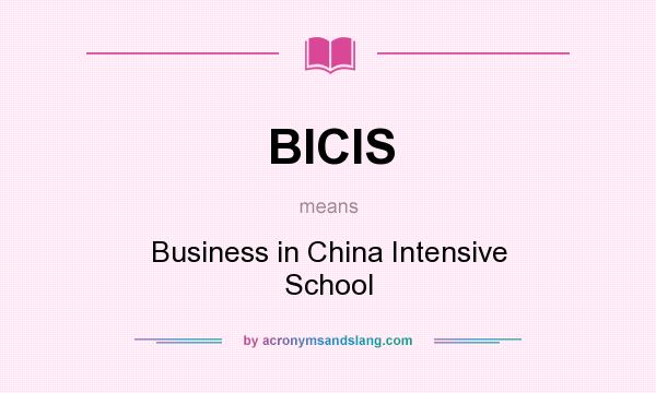 What does BICIS mean? It stands for Business in China Intensive School