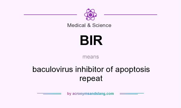 What does BIR mean? It stands for baculovirus inhibitor of apoptosis repeat