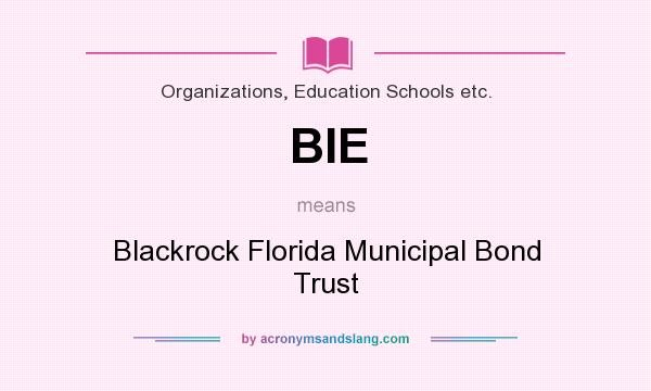 What does BIE mean? It stands for Blackrock Florida Municipal Bond Trust