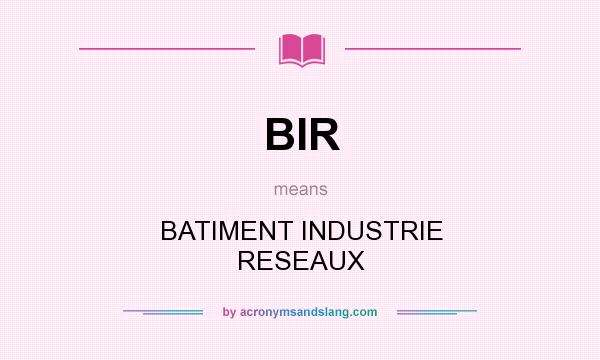 What does BIR mean? It stands for BATIMENT INDUSTRIE RESEAUX