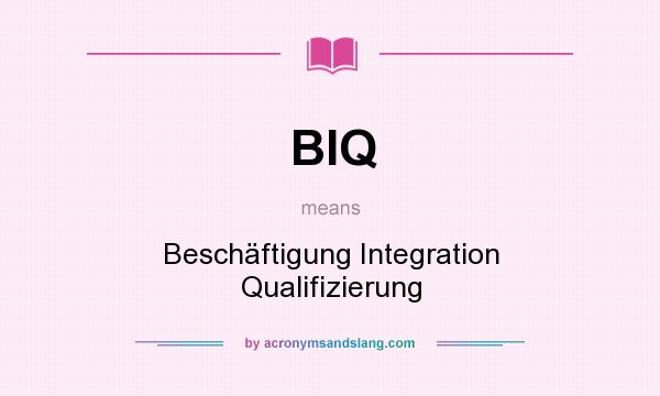 What does BIQ mean? It stands for Beschäftigung Integration Qualifizierung