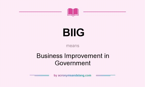 What does BIIG mean? It stands for Business Improvement in Government