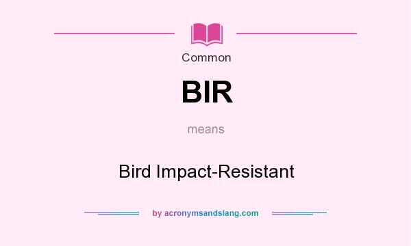 What does BIR mean? It stands for Bird Impact-Resistant