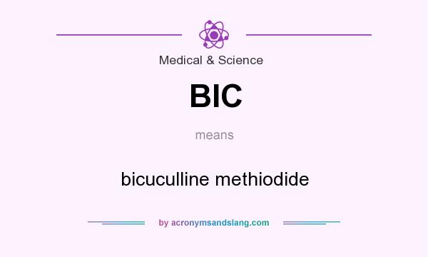 What does BIC mean? It stands for bicuculline methiodide
