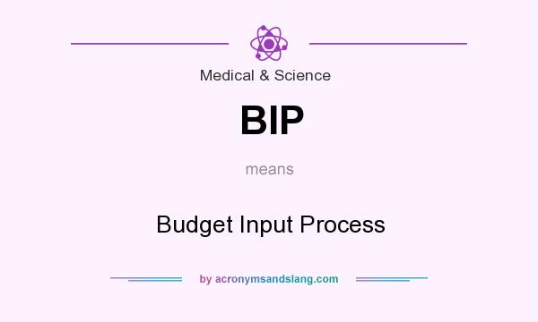 What does BIP mean? It stands for Budget Input Process