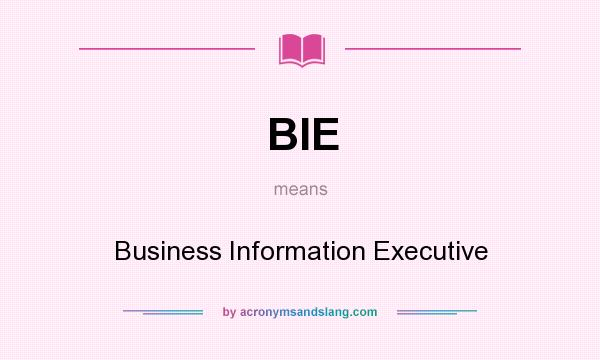What does BIE mean? It stands for Business Information Executive
