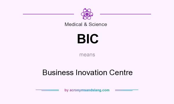 What does BIC mean? It stands for Business Inovation Centre