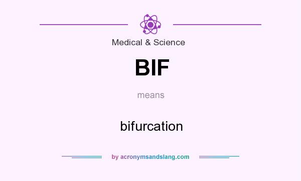 What does BIF mean? It stands for bifurcation