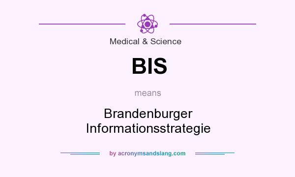What does BIS mean? It stands for Brandenburger Informationsstrategie