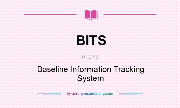 What does BITS mean? It stands for Baseline Information Tracking System