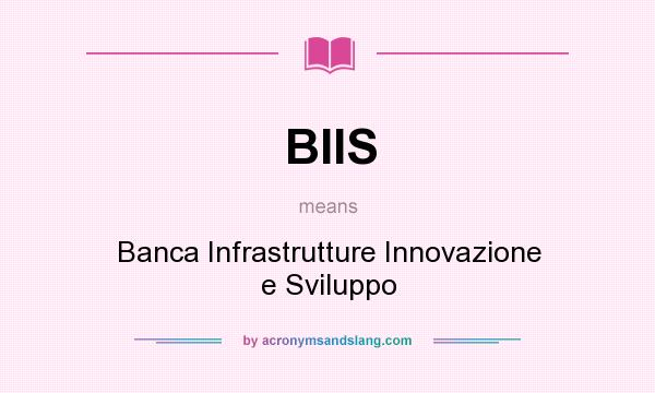 What does BIIS mean? It stands for Banca Infrastrutture Innovazione e Sviluppo