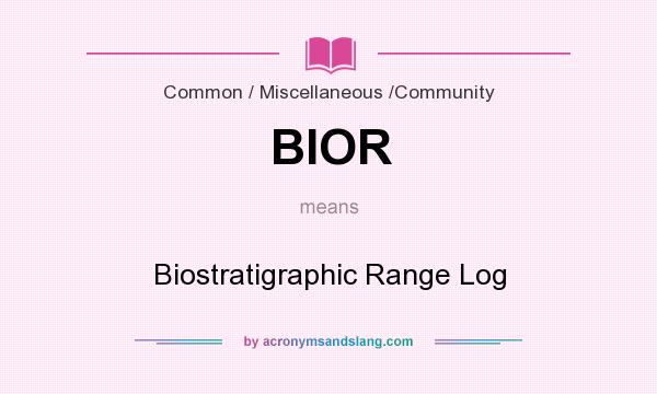 What does BIOR mean? It stands for Biostratigraphic Range Log