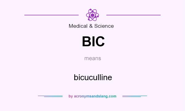 What does BIC mean? It stands for bicuculline