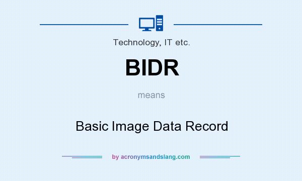 What does BIDR mean? It stands for Basic Image Data Record