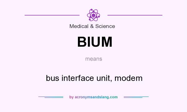 What does BIUM mean? It stands for bus interface unit, modem