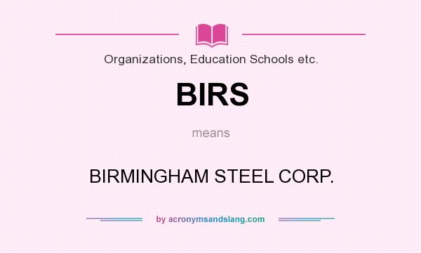 What does BIRS mean? It stands for BIRMINGHAM STEEL CORP.