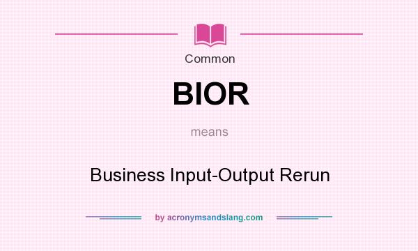 What does BIOR mean? It stands for Business Input-Output Rerun