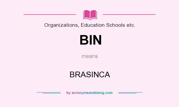 What does BIN mean? It stands for BRASINCA
