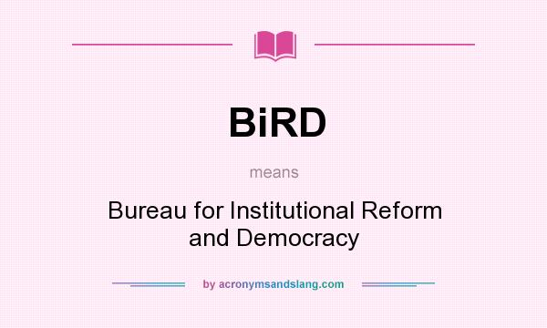 What does BiRD mean? It stands for Bureau for Institutional Reform and Democracy
