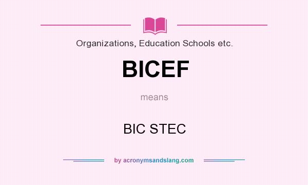 What does BICEF mean? It stands for BIC STEC